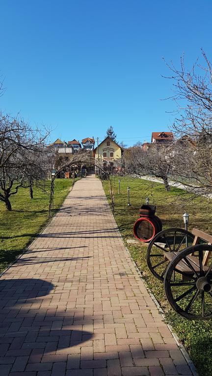 Villa Nora Héviz Zewnętrze zdjęcie