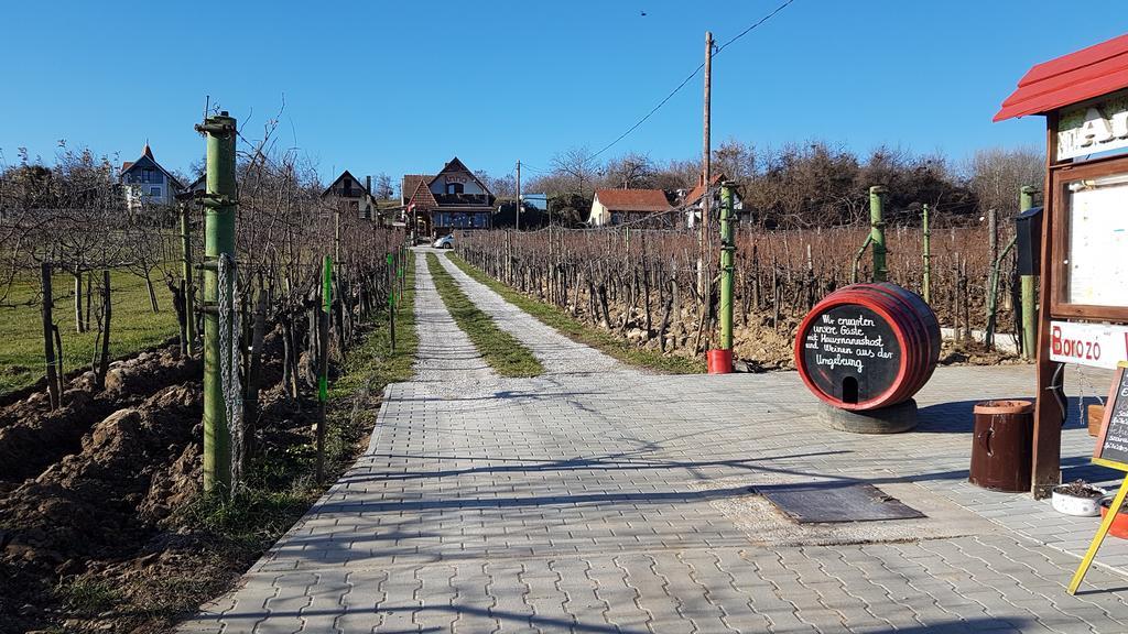 Villa Nora Héviz Zewnętrze zdjęcie